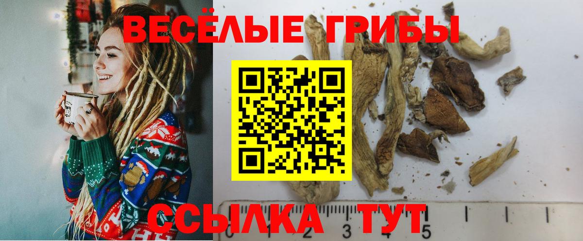 Пенза  Галлюциногенные грибы ЛСД  Галлюциногенные грибы GOLDEN TEACHER  Вход с VPN 
